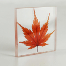 ACRIFIX® 1R 0192 PLEXIGLAS® Kleber, Tube 100g