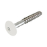 Fassadenschrauben fr HPL Platten 4,8 x 38 mm