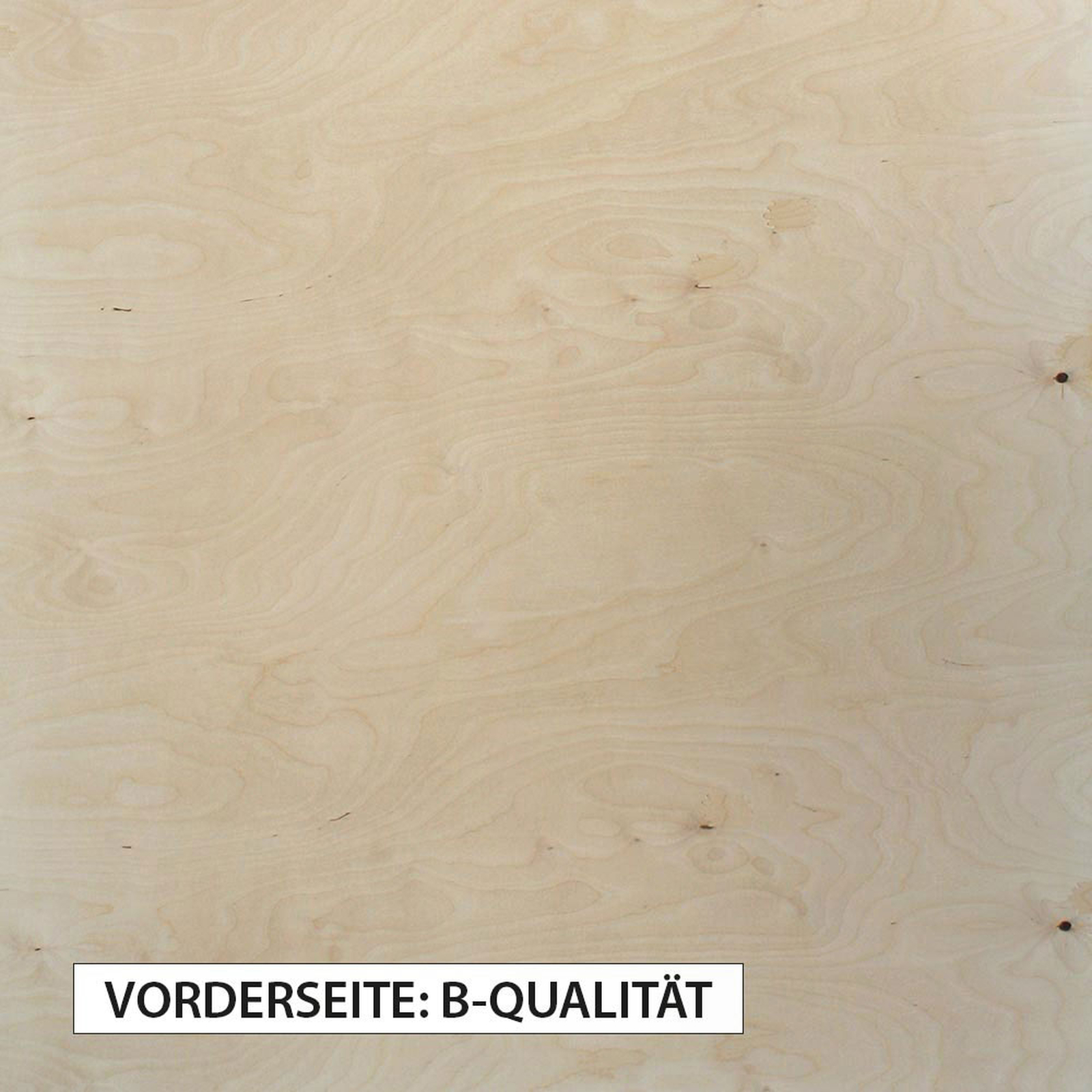 Birke Vollholzbrettchen 100 x 500 x 1,0 mm Birkenholz 79,90€/m² 