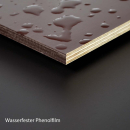 Siebdruckplatte 3000x1500mm wasserfest Film/Sieb (ganze Platte) 21 mm
