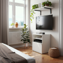 TV-Schrank | eine Tür | zwei offene Fächer