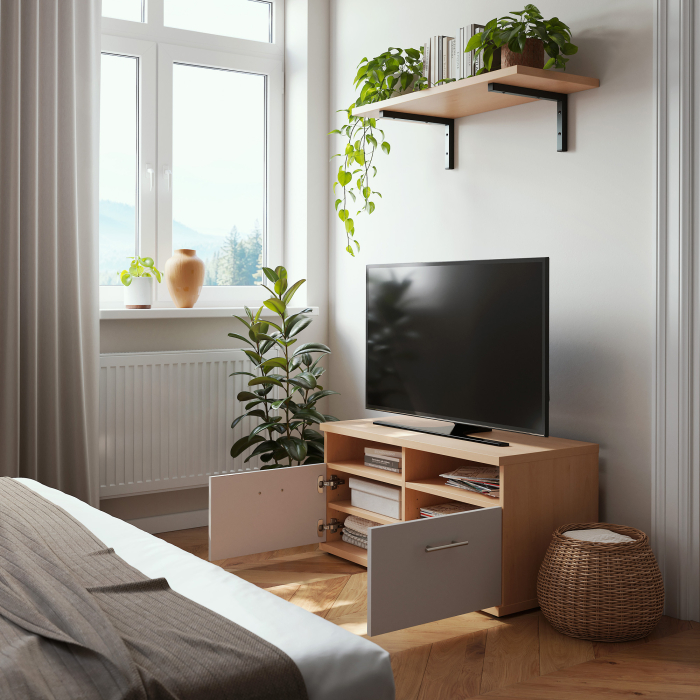 TV-Schrank | zwei Türen | zwei offene Fächer